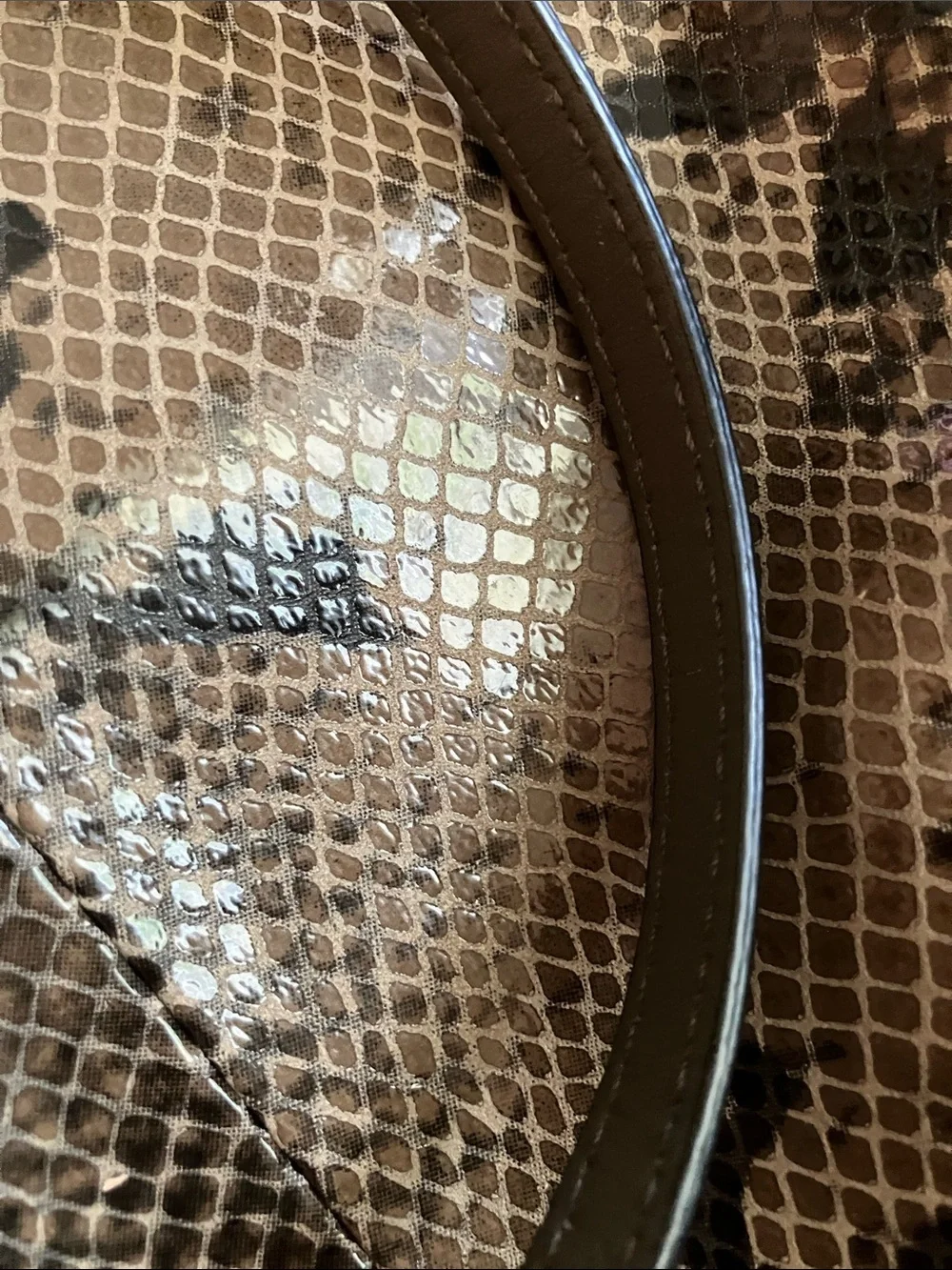 Coach snakeskin Purse